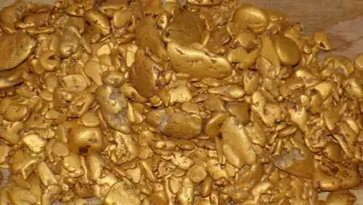 Zakon.kz, фото - Новости Zakon.kz от 20.10.2015 23:17