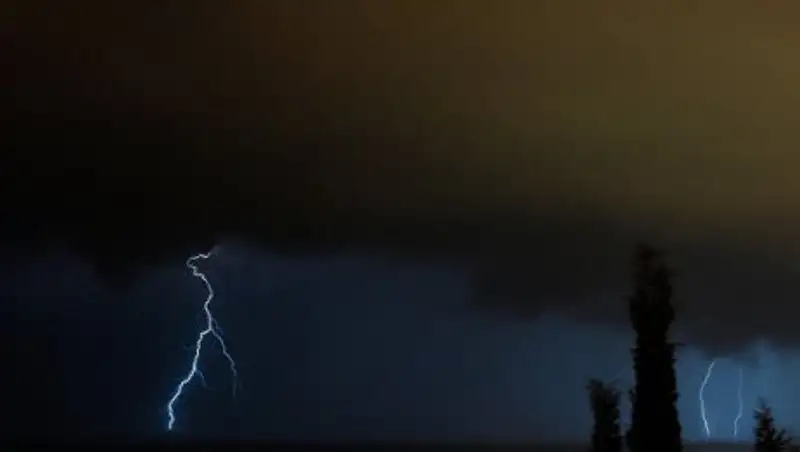 В Германии во время урагана дерево рухнуло на детский палаточный лагерь