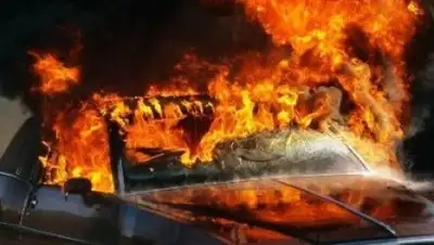 goloskarpat.info, фото - Новости Zakon.kz от 30.08.2018 13:20