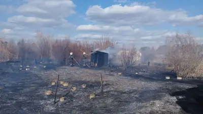 Пожар на дачном массиве в Павлодаре: огонь охватил 6 гектаров, фото - Новости Zakon.kz от 01.05.2023 17:02