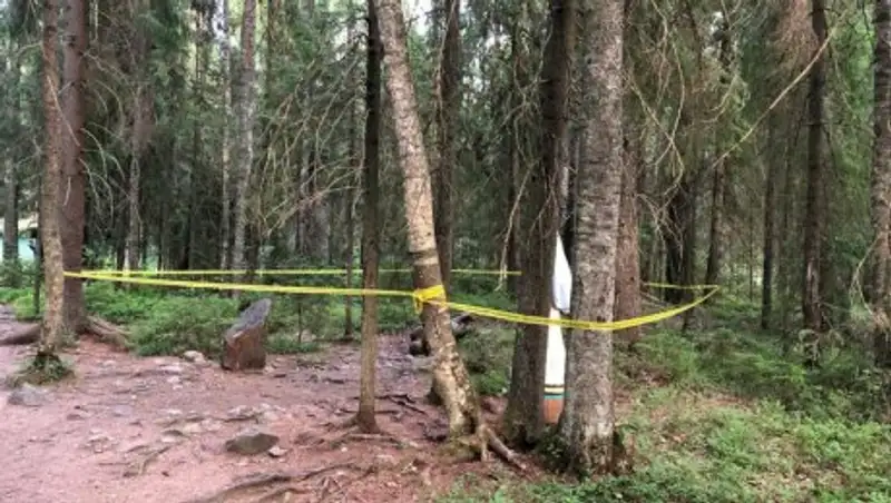 Уральского мальчика насмерть придавило ступой Бабы Яги