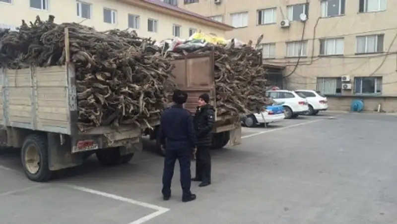 В ЮКО за трое суток ОПМ «Браконьер» полицейские выявили свыше 50 правонарушений