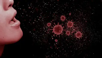 racurs.ua, фото - Новости Zakon.kz от 29.03.2020 15:53