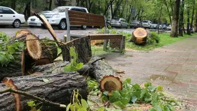 ДЧС Алматы, фото - Новости Zakon.kz от 10.09.2021 12:08