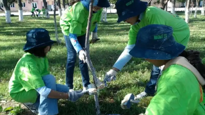 В Костанайской области молодежь фиктивно трудоустраивали в штаб «Жасыл Ел»