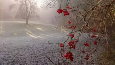 pixabay, фото - Новости Zakon.kz от 06.11.2021 01:23