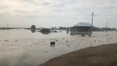 zakon.kz., фото - Новости Zakon.kz от 02.05.2020 11:47