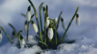 Последний день зимы: прогноз погоды в Казахстане на 28 февраля, фото - Новости Zakon.kz от 27.02.2023 15:52