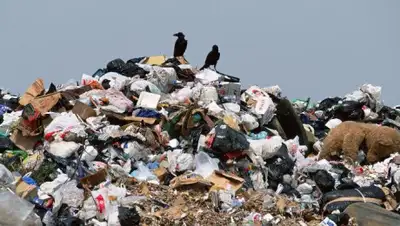 theopenasia.net, фото - Новости Zakon.kz от 10.06.2020 15:48