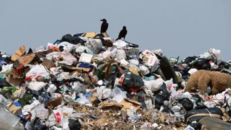 Производить из мусора электроэнергию предлагают в Минэкологии