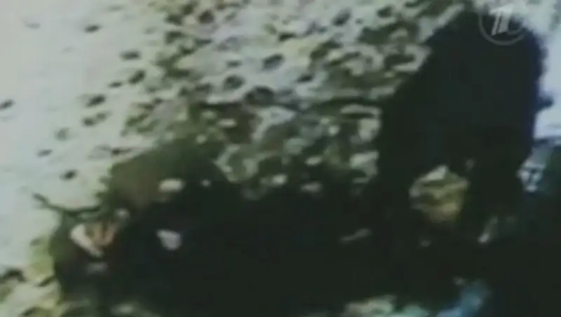 Задержан садист, жестоко избивший и изрезавший женщину в Москве