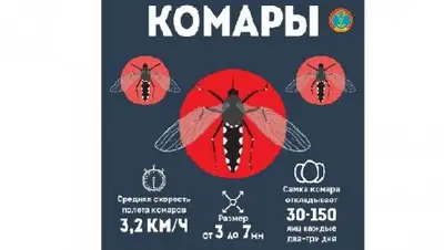 Zakon.kz, фото - Новости Zakon.kz от 11.05.2017 21:28