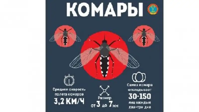 Сезон борьбы с комарами начался в Астане