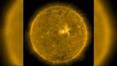 life.ru, фото - Новости Zakon.kz от 26.04.2018 21:52