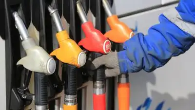 zakon.kz / Павел Михеев, фото - Новости Zakon.kz от 12.10.2021 15:38