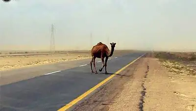 Zakon.kz, фото - Новости Zakon.kz от 30.09.2014 22:33