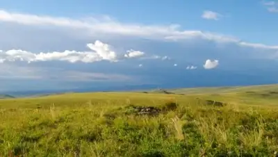 Zakon.kz, фото - Новости Zakon.kz от 13.04.2017 19:27