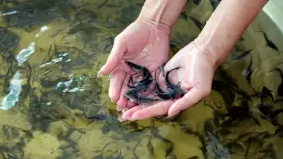 Zakon.kz, фото - Новости Zakon.kz от 19.12.2015 03:29