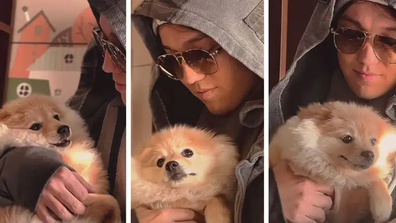 Фанатов Димаша Кудайбергена умилило новое видео