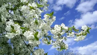 Zakon.kz, фото - Новости Zakon.kz от 16.04.2016 12:02