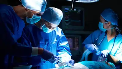 Фото © Depositphotos / gpointstudio, фото - Новости Zakon.kz от 19.12.2017 07:26