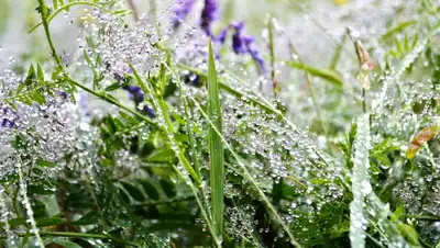 Днепр Час, фото - Новости Zakon.kz от 13.05.2019 12:41