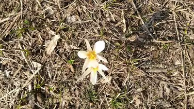 Zakon.kz, фото - Новости Zakon.kz от 31.03.2014 23:14