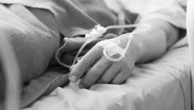 coronavirus2020.kz, фото - Новости Zakon.kz от 09.02.2021 09:02