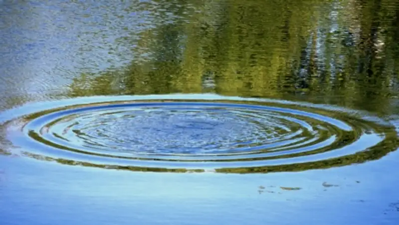 В ВКО найден труп мужчины, два месяца назад упавшего в воду с яхты «Байтерек»