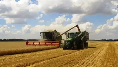 Zakon.kz, фото - Новости Zakon.kz от 20.08.2015 01:46