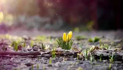 Zakon.kz, фото - Новости Zakon.kz от 13.05.2017 12:00