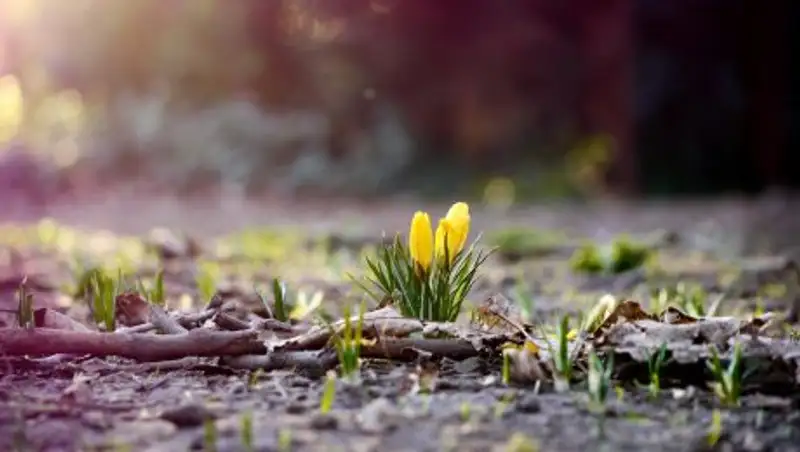 В Казахстане сохранится неустойчивая погода