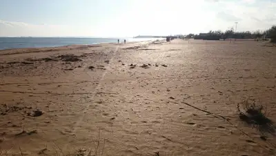 Поиск, фото - Новости Zakon.kz от 16.07.2019 14:00