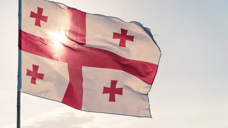 В Тбилиси протестующие сожгли флаг ЕС