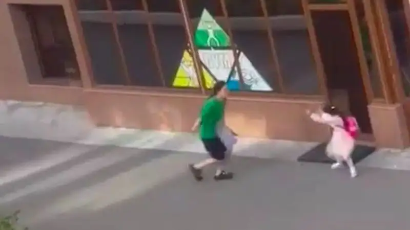 Била и пинала ребенка на улице: 17-летнюю девушку накажут в Астане