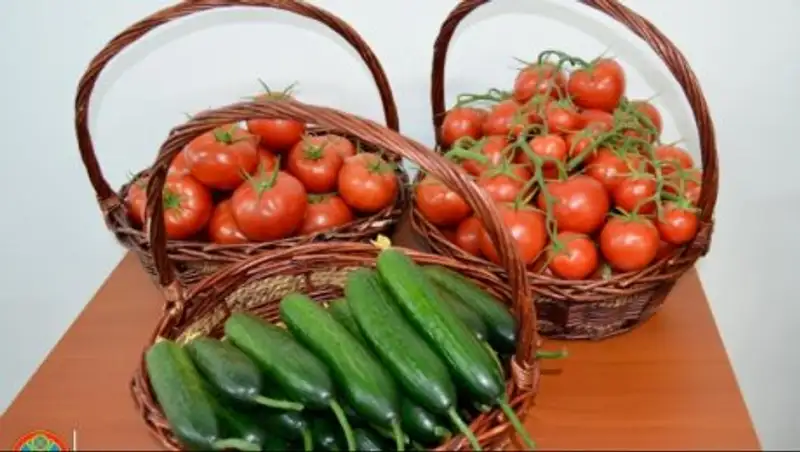 В Астане открылся учебный центр «зеленых» технологий