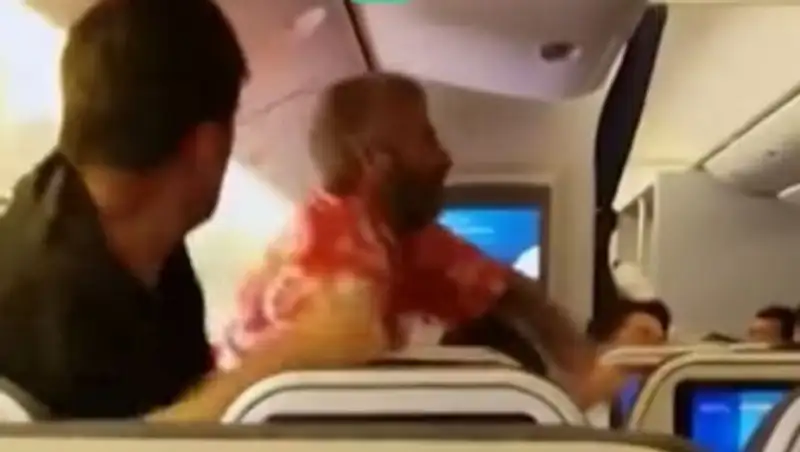Драка пассажиров рейса Токио — Лос-Анджелес попала на видео