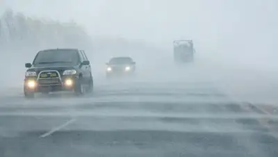 elarna.net, фото - Новости Zakon.kz от 25.01.2020 12:06