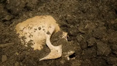 mir24.tv, фото - Новости Zakon.kz от 30.07.2018 11:24