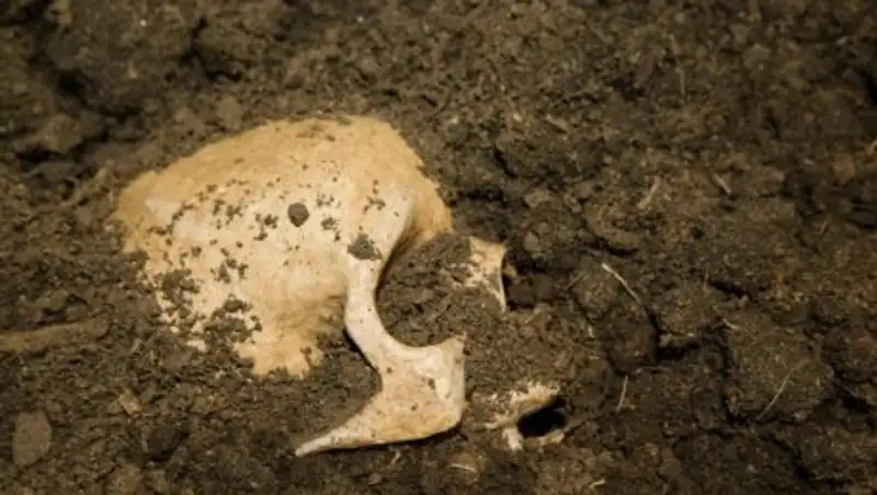 Под Карагандой нашли захоронения древних «Ромео и Джульетты»