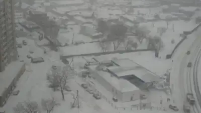 zakon.kz, фото - Новости Zakon.kz от 07.02.2020 13:52