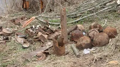 Zakon.kz, фото - Новости Zakon.kz от 17.05.2017 17:34