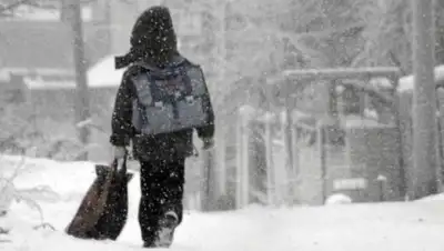 Zakon.kz, фото - Новости Zakon.kz от 14.02.2017 13:07