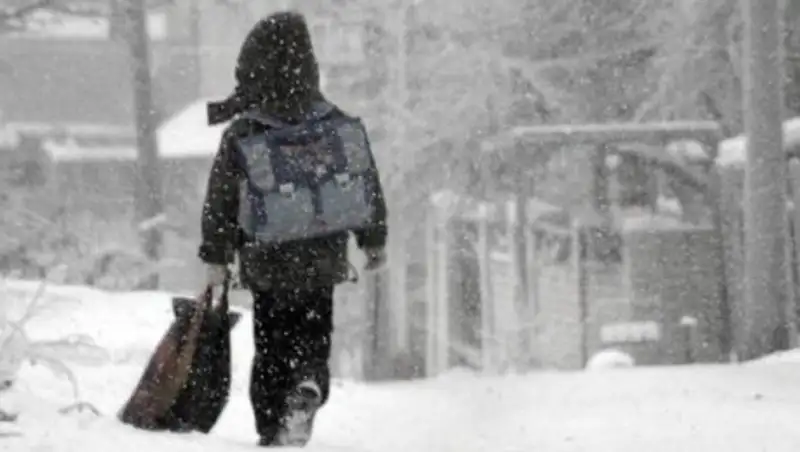 В Астане и Семее отменены занятия в школах