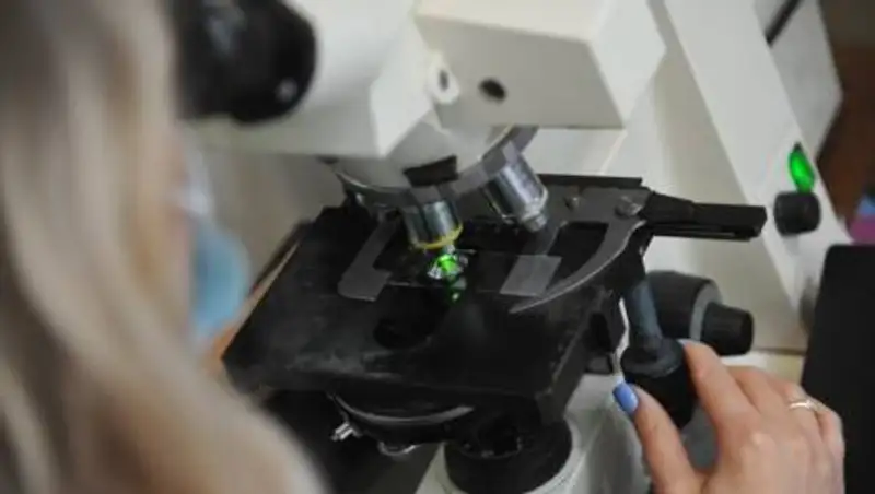 Ученые обнаружили способность COVID-19 изменять клетки крови