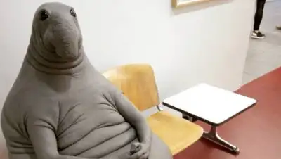 Zakon.kz, фото - Новости Zakon.kz от 02.02.2017 16:59