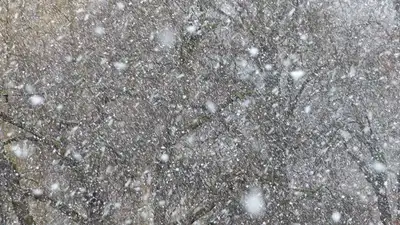 Штормовое предупреждение объявлено в двух областях Казахстана, фото - Новости Zakon.kz от 25.12.2022 19:56