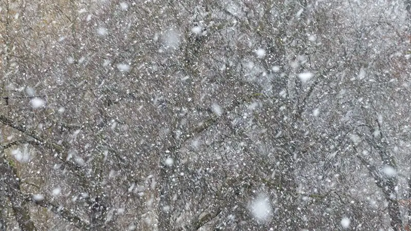 Штормовое предупреждение объявлено в двух областях Казахстана