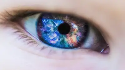 pixabay, фото - Новости Zakon.kz от 08.02.2019 12:14