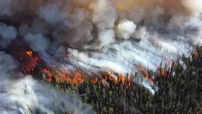 pixabay.com, фото - Новости Zakon.kz от 15.09.2021 10:29